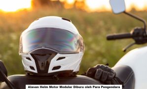Helm Motor Modular